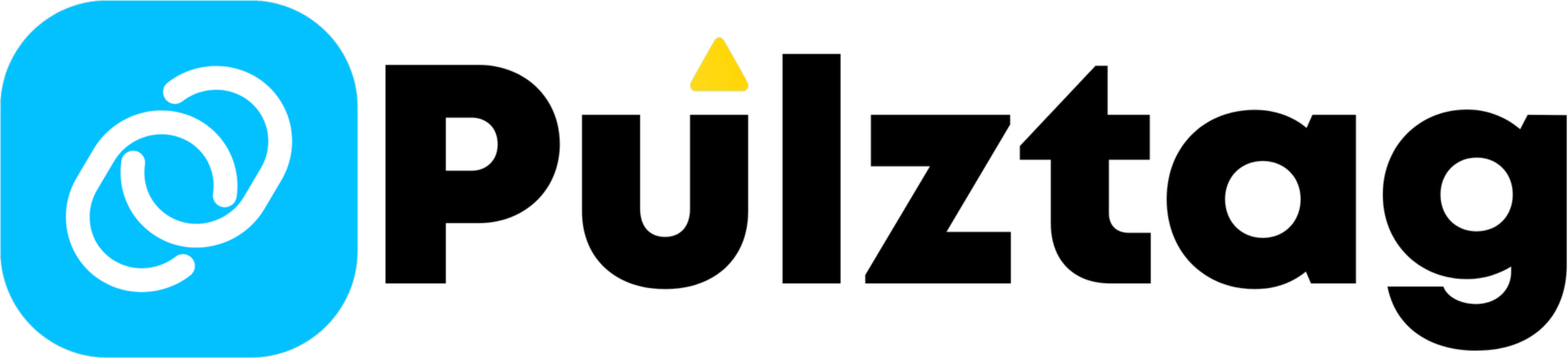 Pulztag Logo